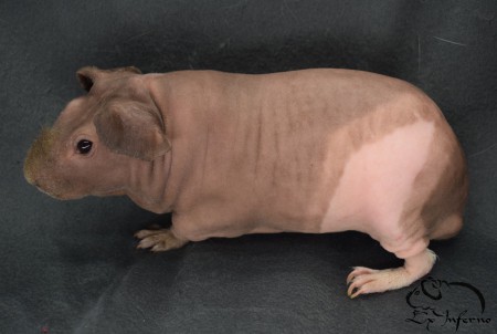 Xibit z Mariánských hor